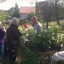 Foltz op plantenmarkten en beurzen